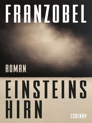 cover image of Einsteins Hirn